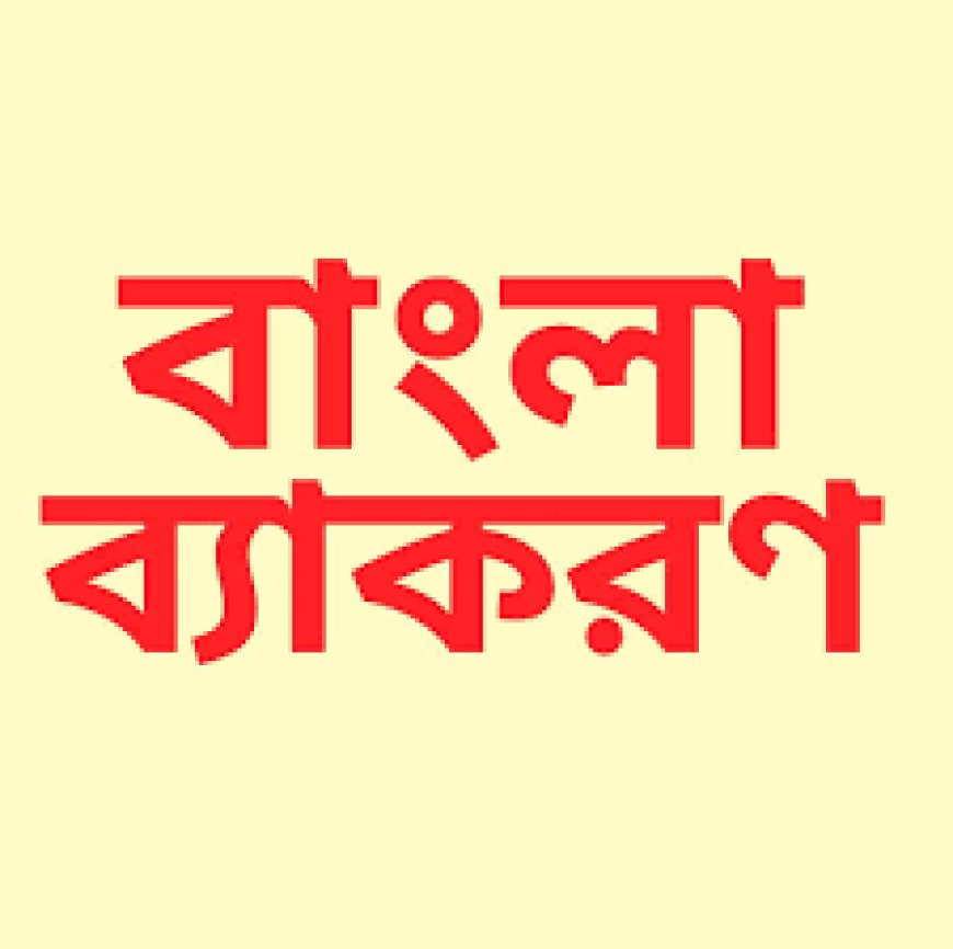 বাংলা ব্যাকারণ এর সম্পূর্ণ আলোচনা । এসএসসি/এইচএসসি দের জন্য।।